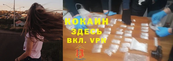 PSILOCYBIN Краснослободск