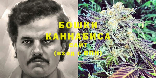 PSILOCYBIN Краснослободск