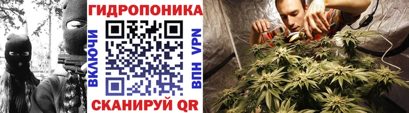 Купить  Любим  Каннабис индика 